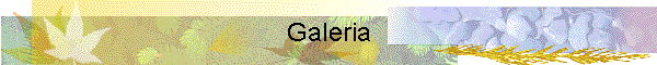 Galeria