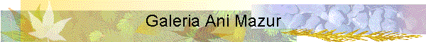 Galeria Ani Mazur