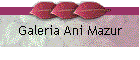 Galeria Ani Mazur